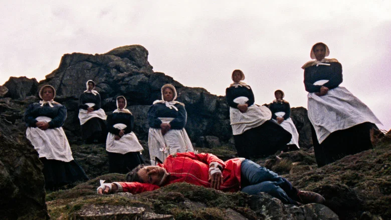Enys Men screenshot 1
