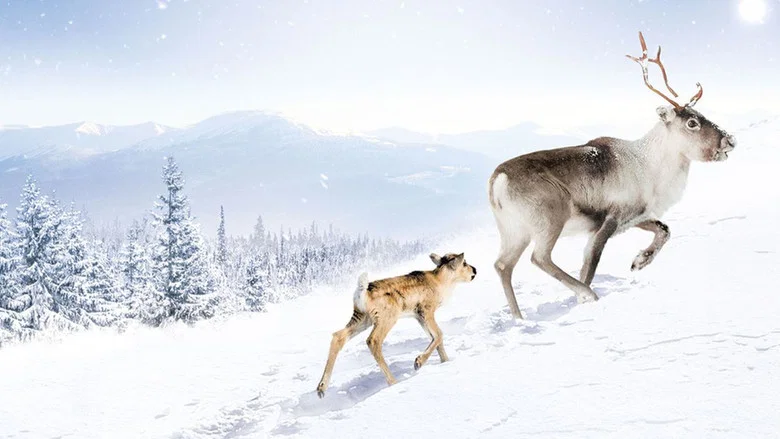 A Reindeer's Journey screenshot 1