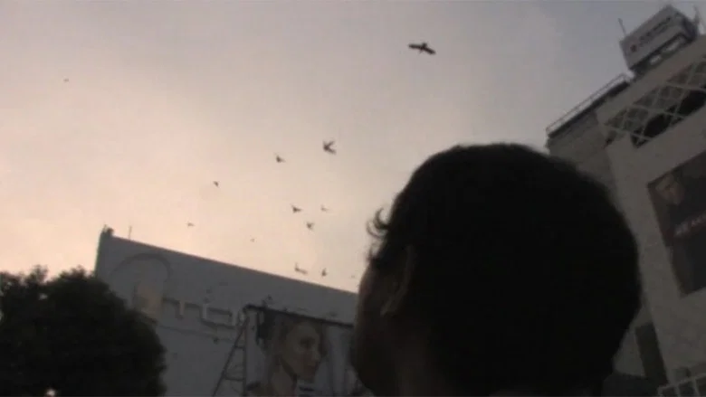 Occult screenshot 4