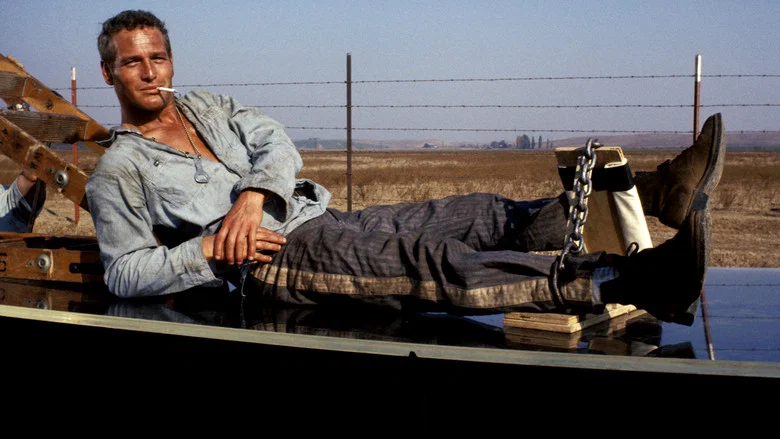 Cool Hand Luke screenshot 7
