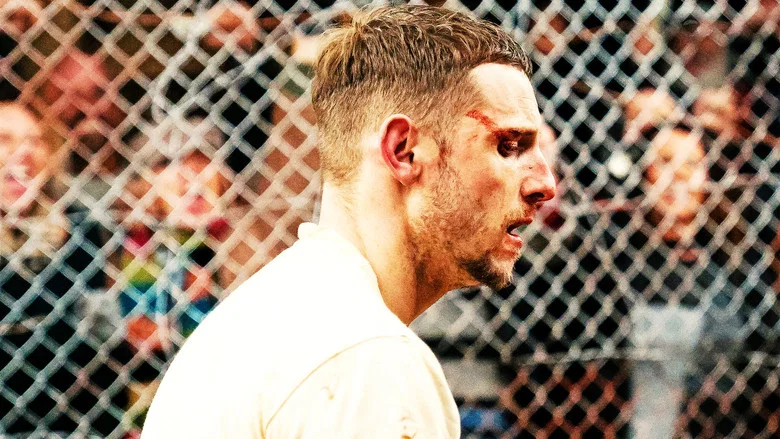 Donnybrook screenshot 2