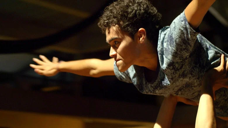 Mateo screenshot 2