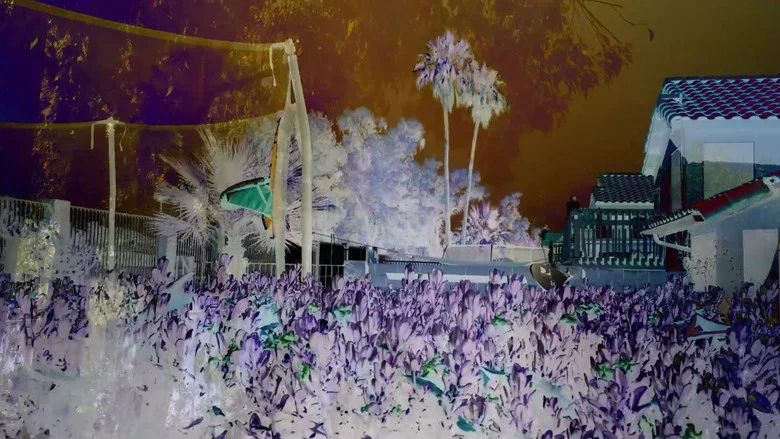 Revisited Remunerations Rapturously Collapse When Recompensed screenshot 1