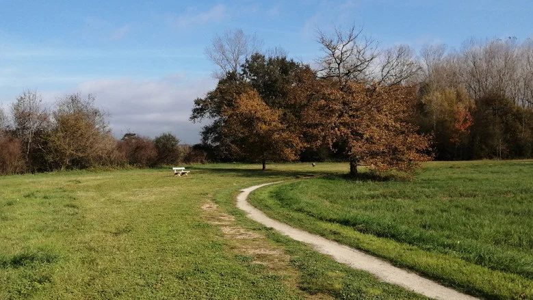 Running Fields II screenshot 1