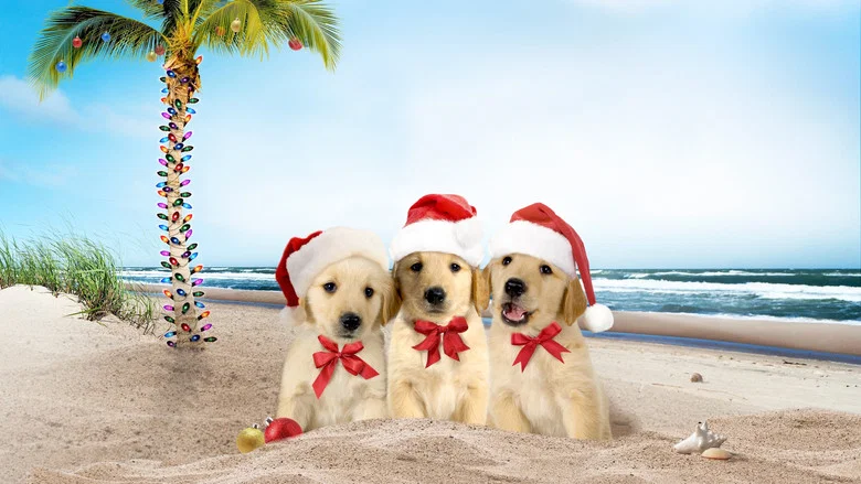 3 Holiday Tails screenshot 4