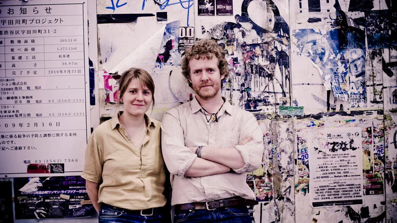 The Swell Season screenshot 1
