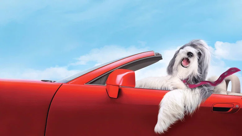 The Shaggy Dog screenshot 2