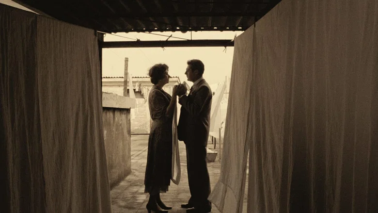 A Special Day screenshot 3