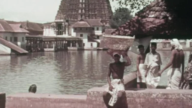 Street Scenes in India screenshot 1