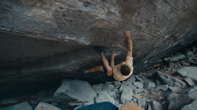 Alphane screenshot 1