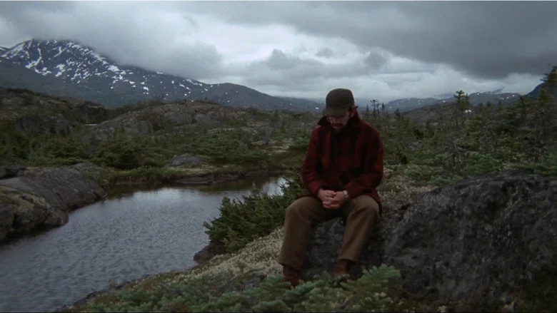 Never Cry Wolf screenshot 7