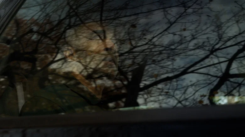A Baleful Reunion screenshot 2