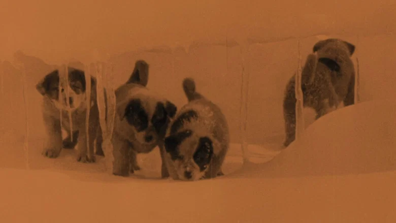 South screenshot 3