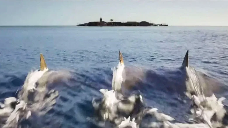 Deep Blue Sea 3 screenshot 8