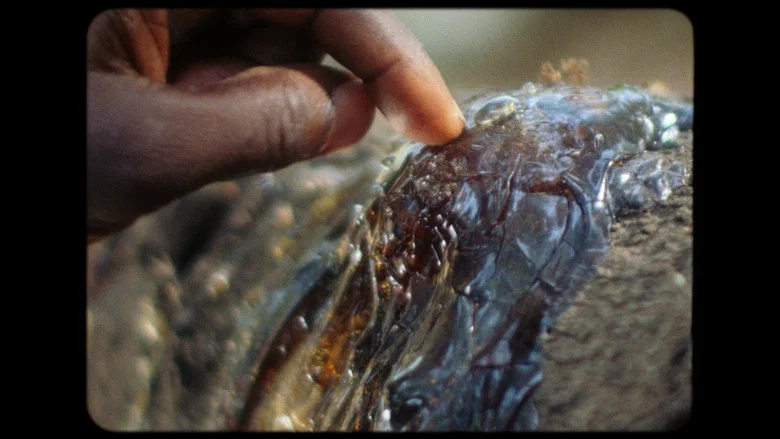 Amílcar screenshot 2