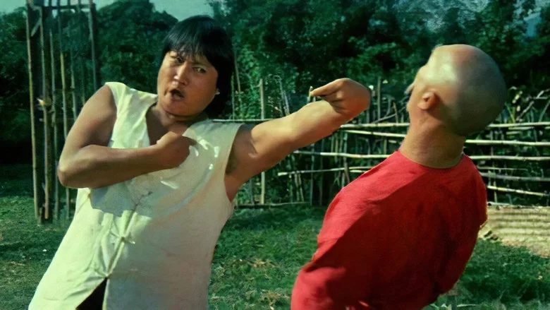The Incredible Kung Fu Master screenshot 4
