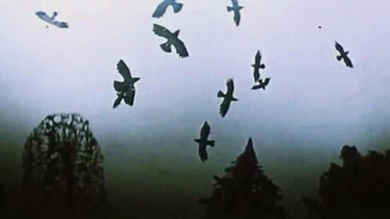 The Seasons screenshot 4