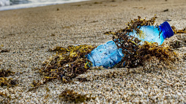 Sea of Plastic screenshot 5