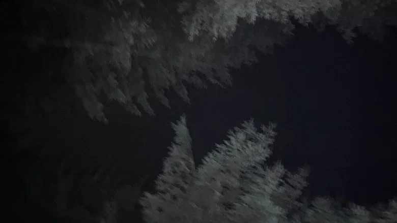 Last to Die screenshot 1