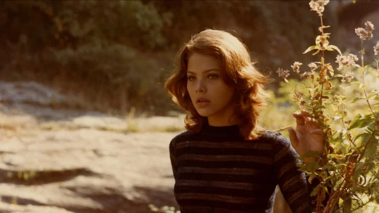 Summer Affair screenshot 2
