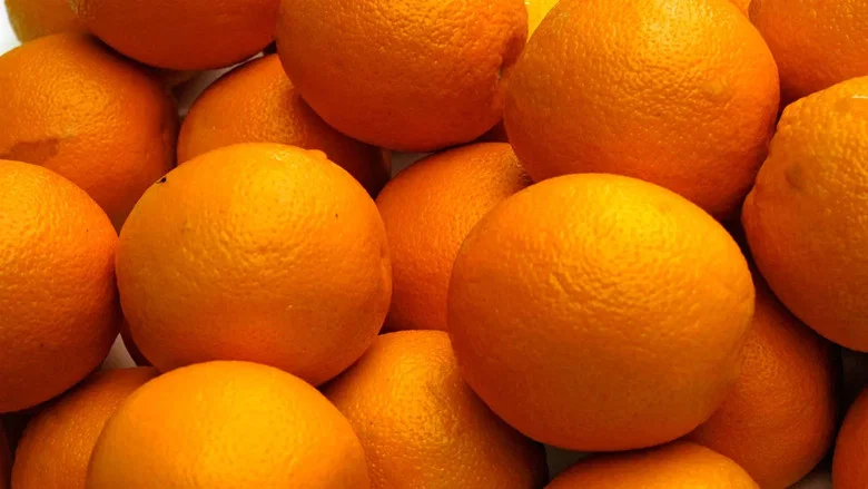 The Orange Man screenshot 3
