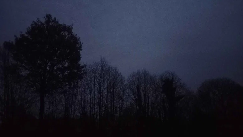 FRΛIN screenshot 1