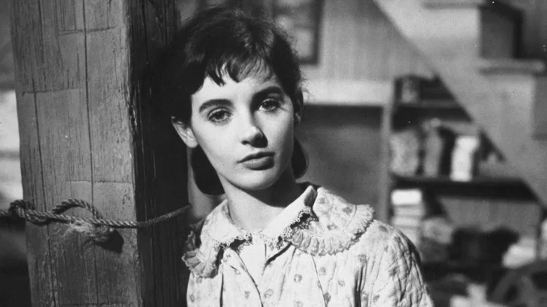 The Diary of Anne Frank screenshot 3