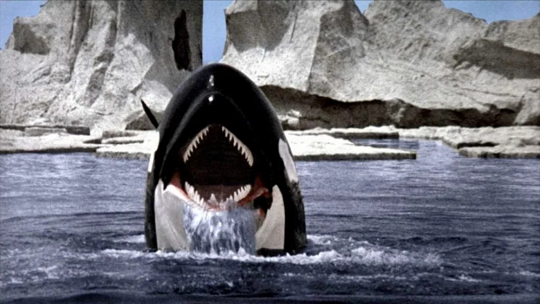 Orca screenshot 6