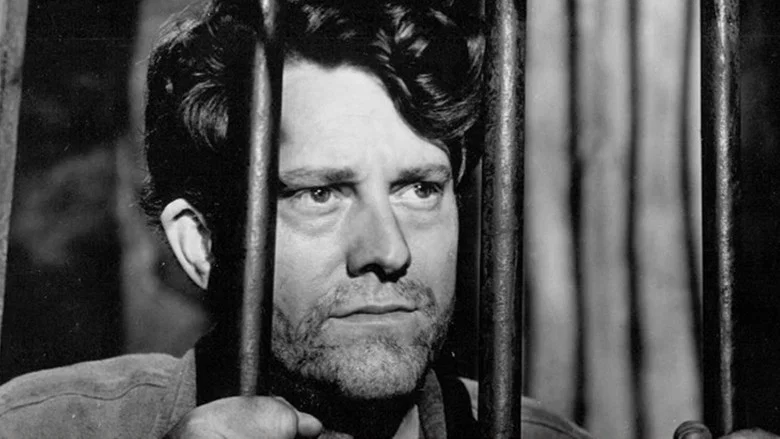 Jack London screenshot 4