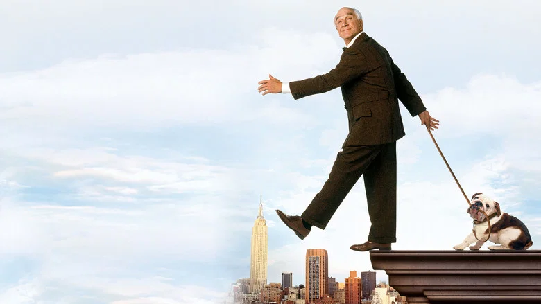 Mr. Magoo screenshot 1