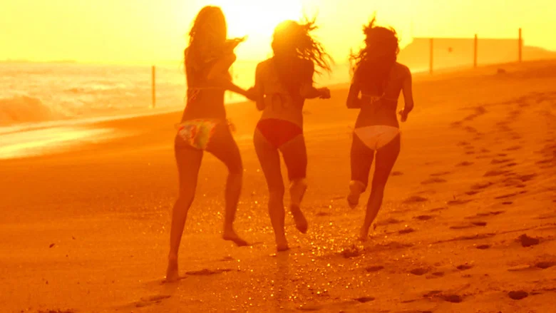 American Beach House screenshot 1