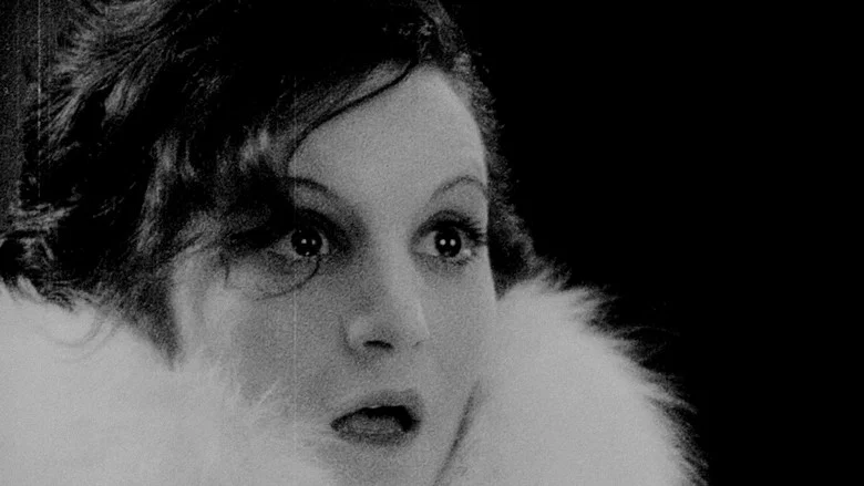 From Caligari to Hitler screenshot 6