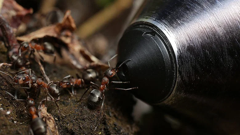 Attenborough and the Empire of the Ants screenshot 7