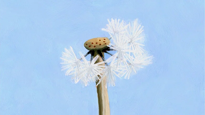 Wild Life screenshot 2