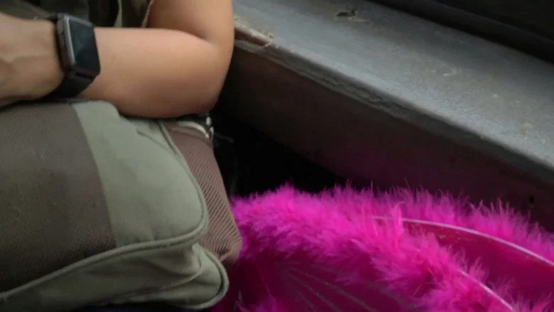 My Fairy Godmother screenshot 1