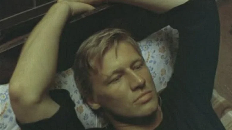 Fan 2 screenshot 3
