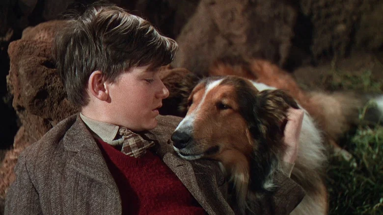 Lassie Come Home screenshot 1