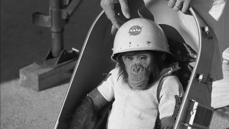 One Small Step: The Story of the Space Chimps screenshot 1