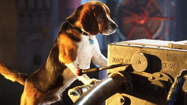 Cats & Dogs screenshot 5