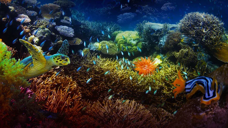 The Last Reef: Cities Beneath the Sea screenshot 1