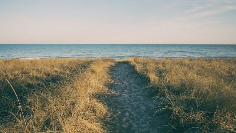 West Michigan screenshot 2