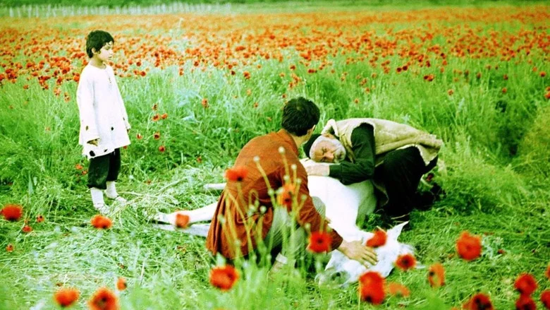 The Wishing Tree screenshot 1