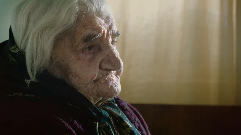 Architects of Denial screenshot 4