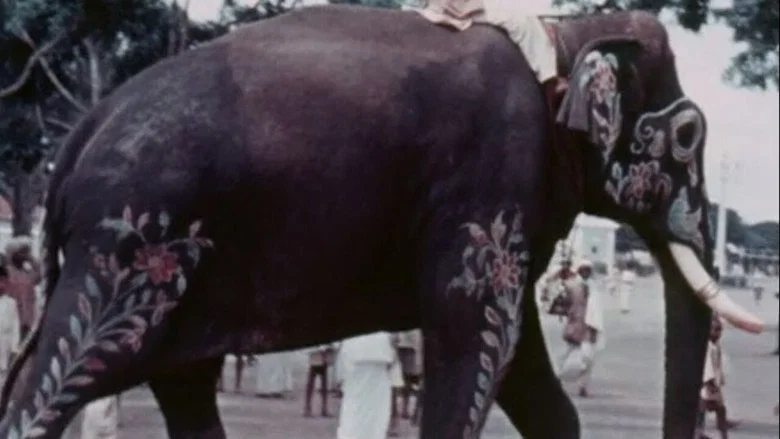 Mysore screenshot 1