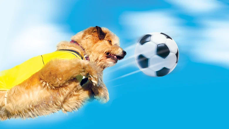Soccer Dog 2: European Cup screenshot 1