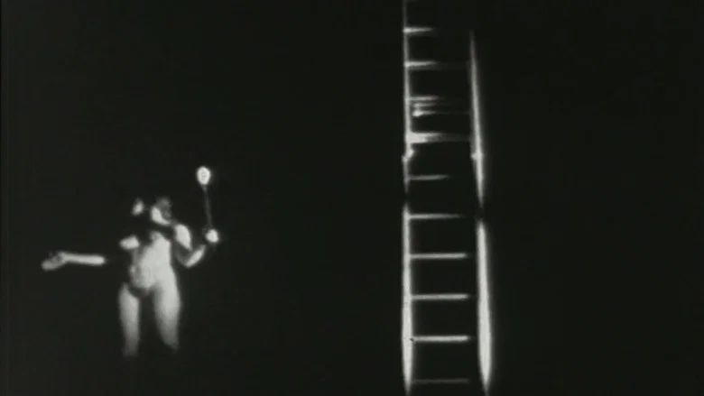 Salome screenshot 1