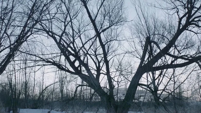 Witches in the Woods screenshot 8