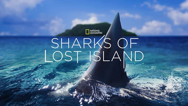 Sharks of Lost Island screenshot 2