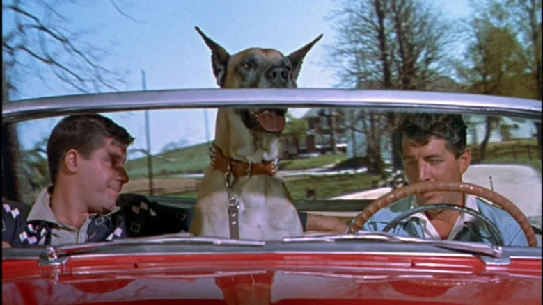 Hollywood or Bust screenshot 4