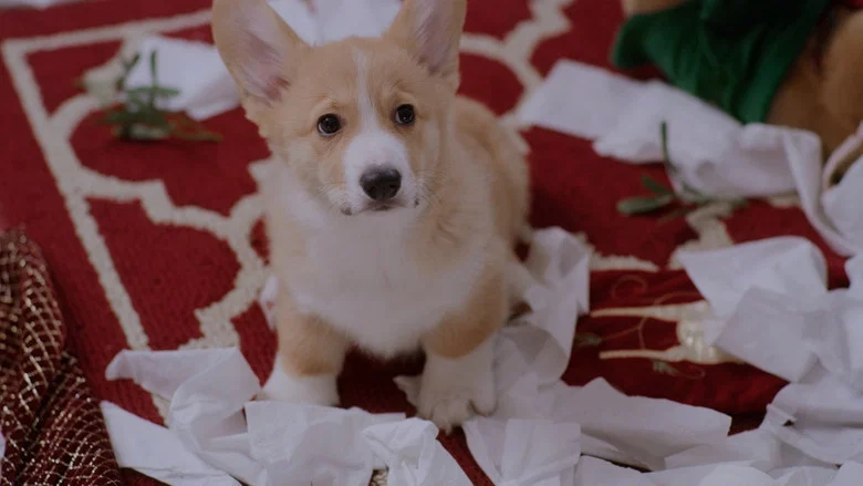 A Very Corgi Christmas screenshot 3